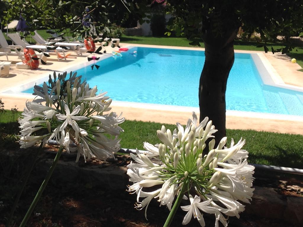 Il Giardino Dei Carrubi Villa Donnalucata  Ngoại thất bức ảnh